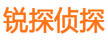 宁夏市侦探调查公司